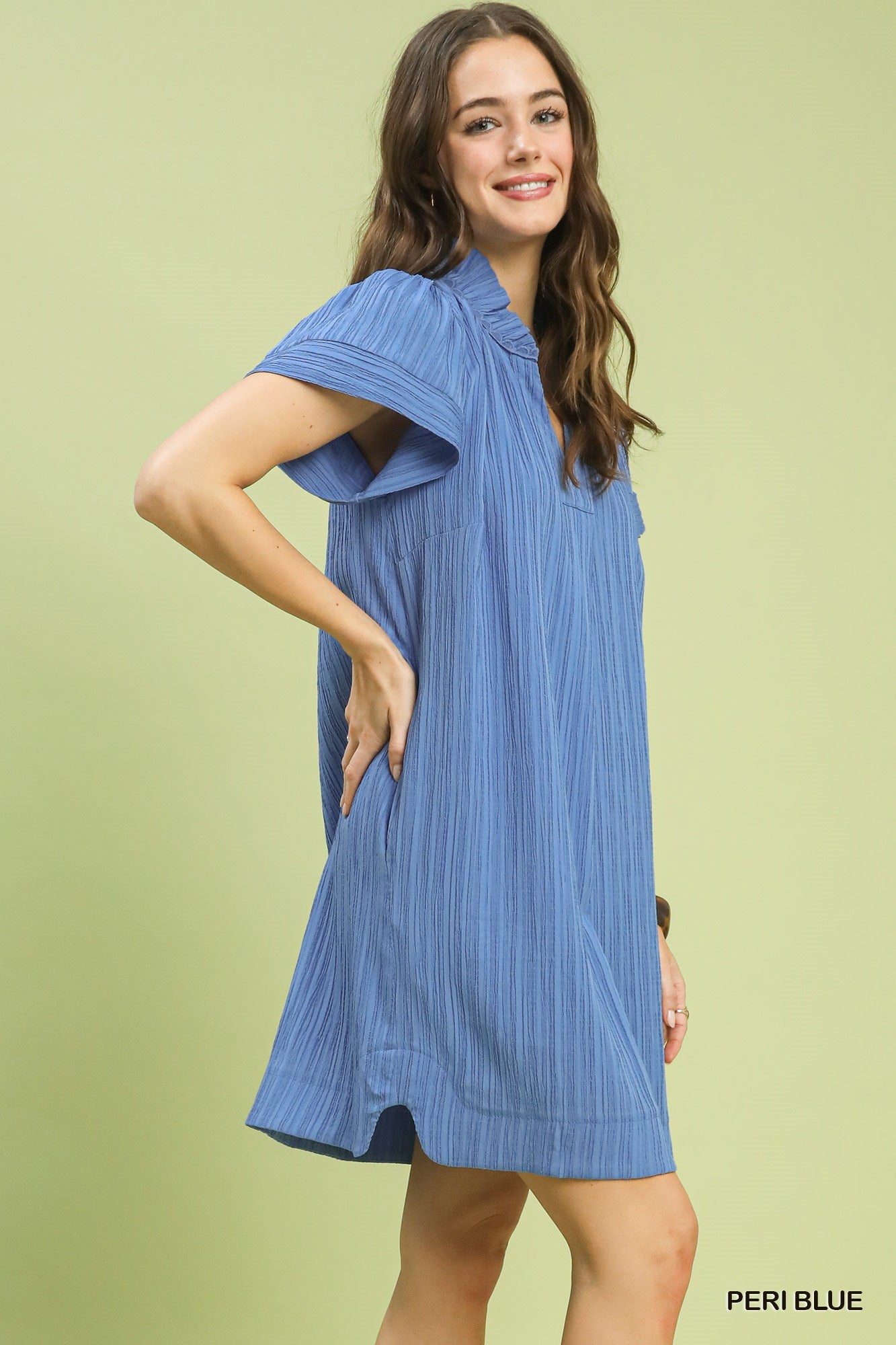 Flutter Sleeve Mini Dress