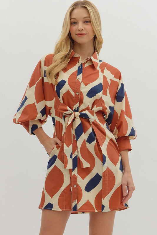 Abstract Print Shirt Dress