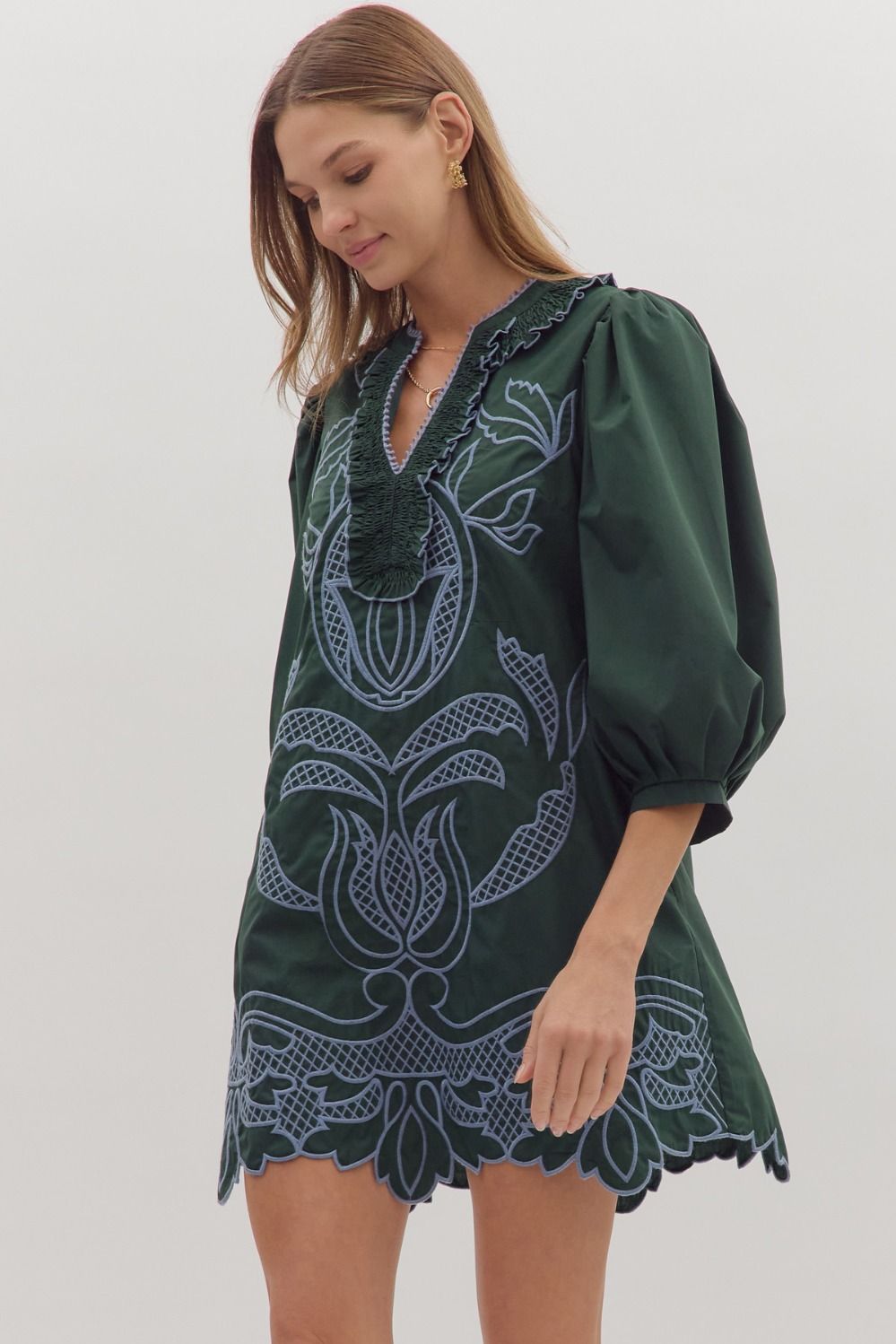 Embroidered Mini Dress