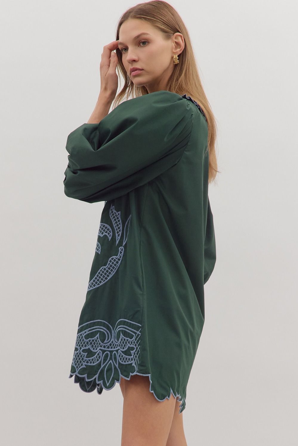 Embroidered Mini Dress